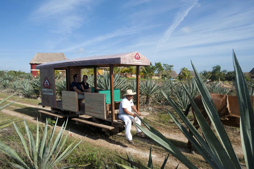 Hacienda Viva Sotuta De Peon Hotel Tecoh Luaran gambar
